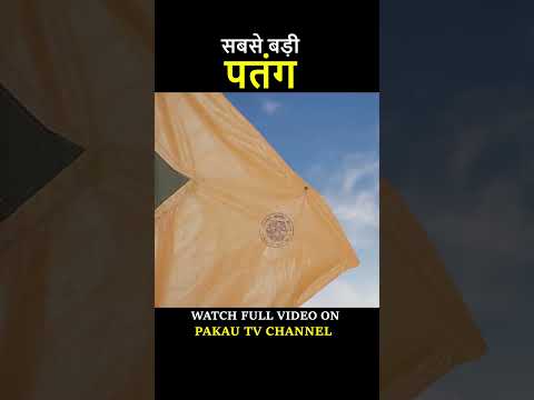 सबसे बड़ी पतंग World's Biggest Kite #shorts Hindi Comedy | Pakau TV Channel