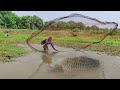 Best Fishing Video | Traditional Catching Big Fish By Net In Pond (part -2)