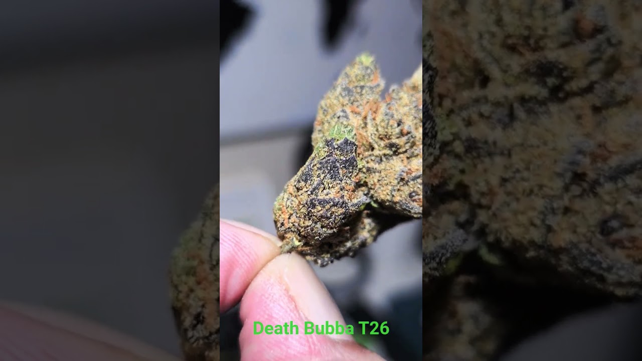 4C Labs Craft Select DB T26 Death Bubba - (Deathstar x Bubba Kush) Indica Dominant - Very smooth