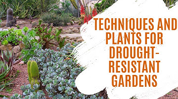 Water-Saving Gardening: Techniques and Plants for Drought-Resistant Gardens
