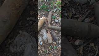 Anyone knows what is this??