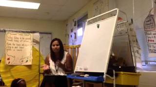 Writing Mini-Lesson