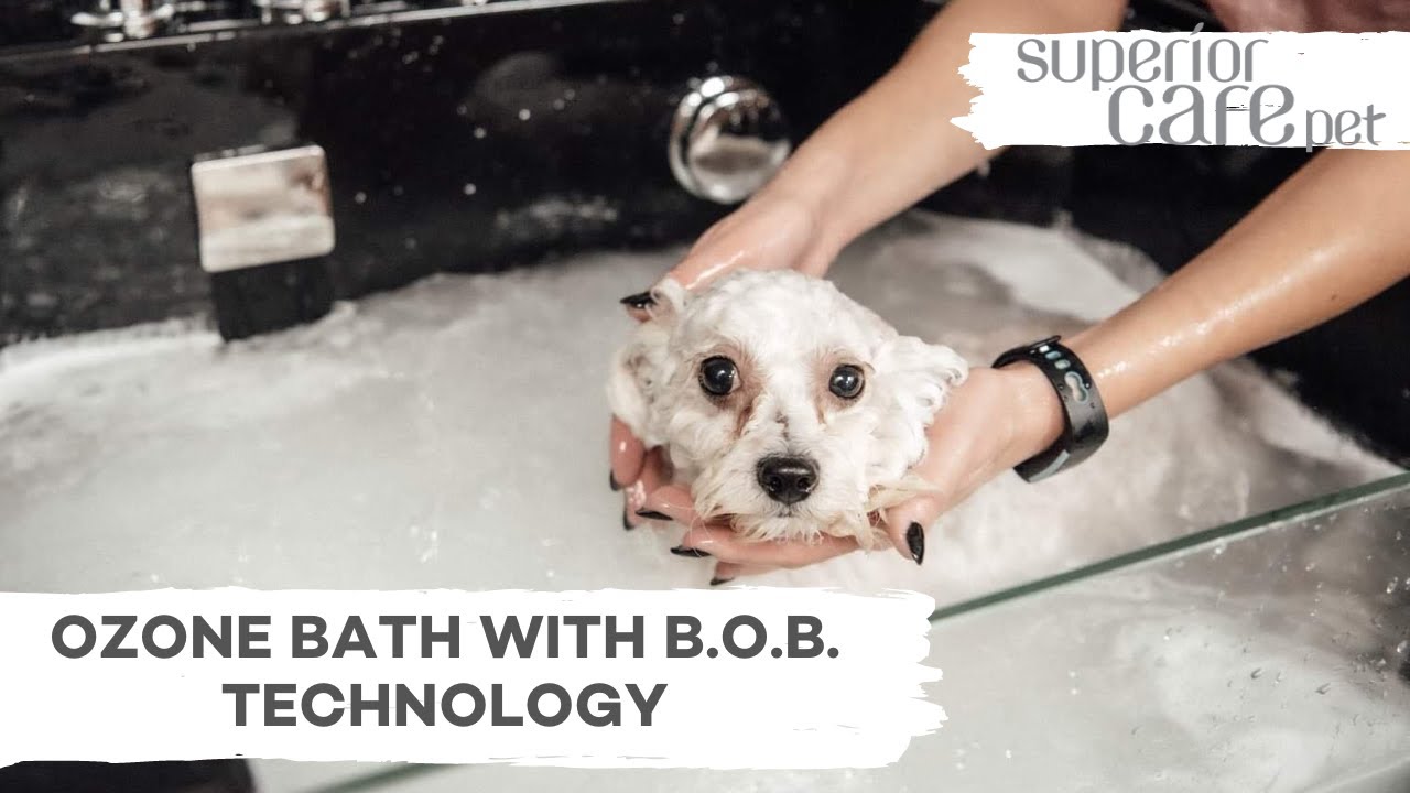 What are the benefits of ozone bath? YouTube