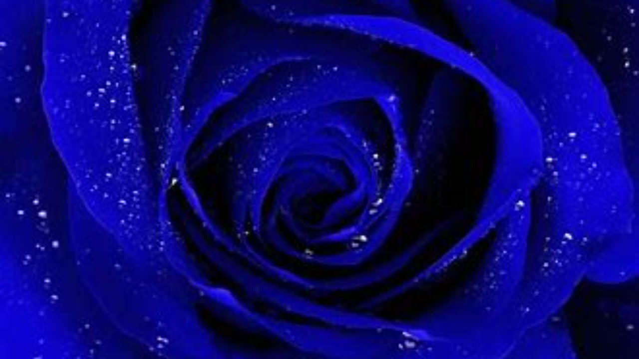 ARIES!! Get ready for “the talk” 😳❤️ 1st half of April 2021