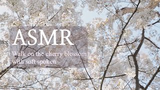 ASMR-Walk on the cherry blossom with soft spoken(ENG SUB) / korean / 너와 벚꽃길을 걷다