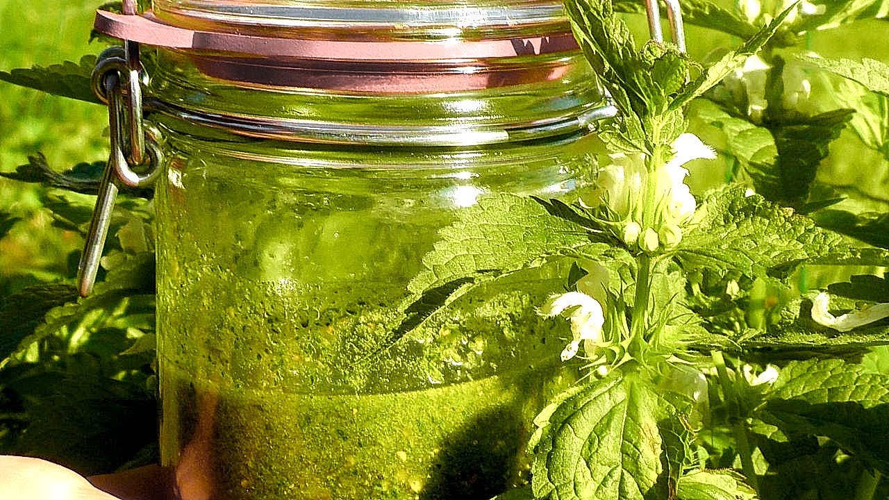 Wildkräuter-Pesto | So macht man Pesto | Der Bio Koch #639