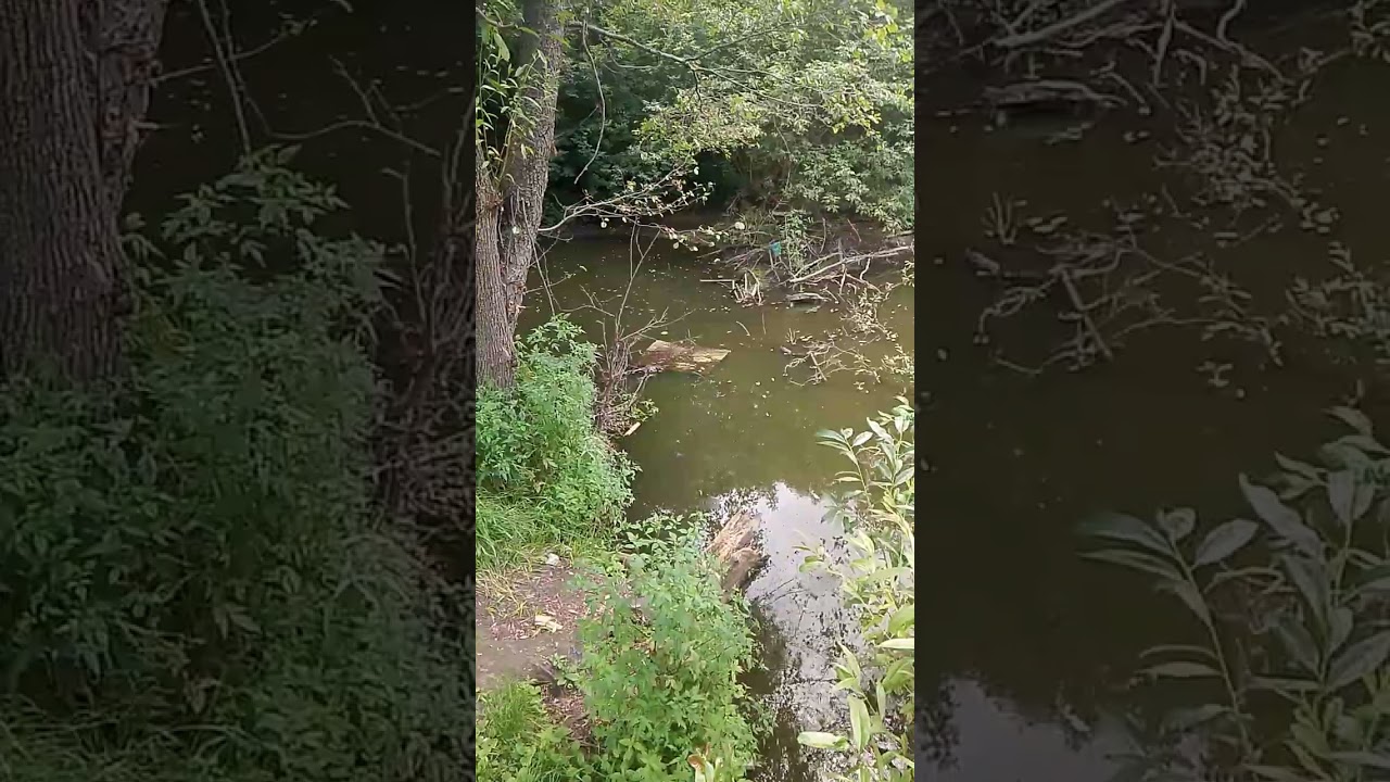 26 февраля 2026 г.