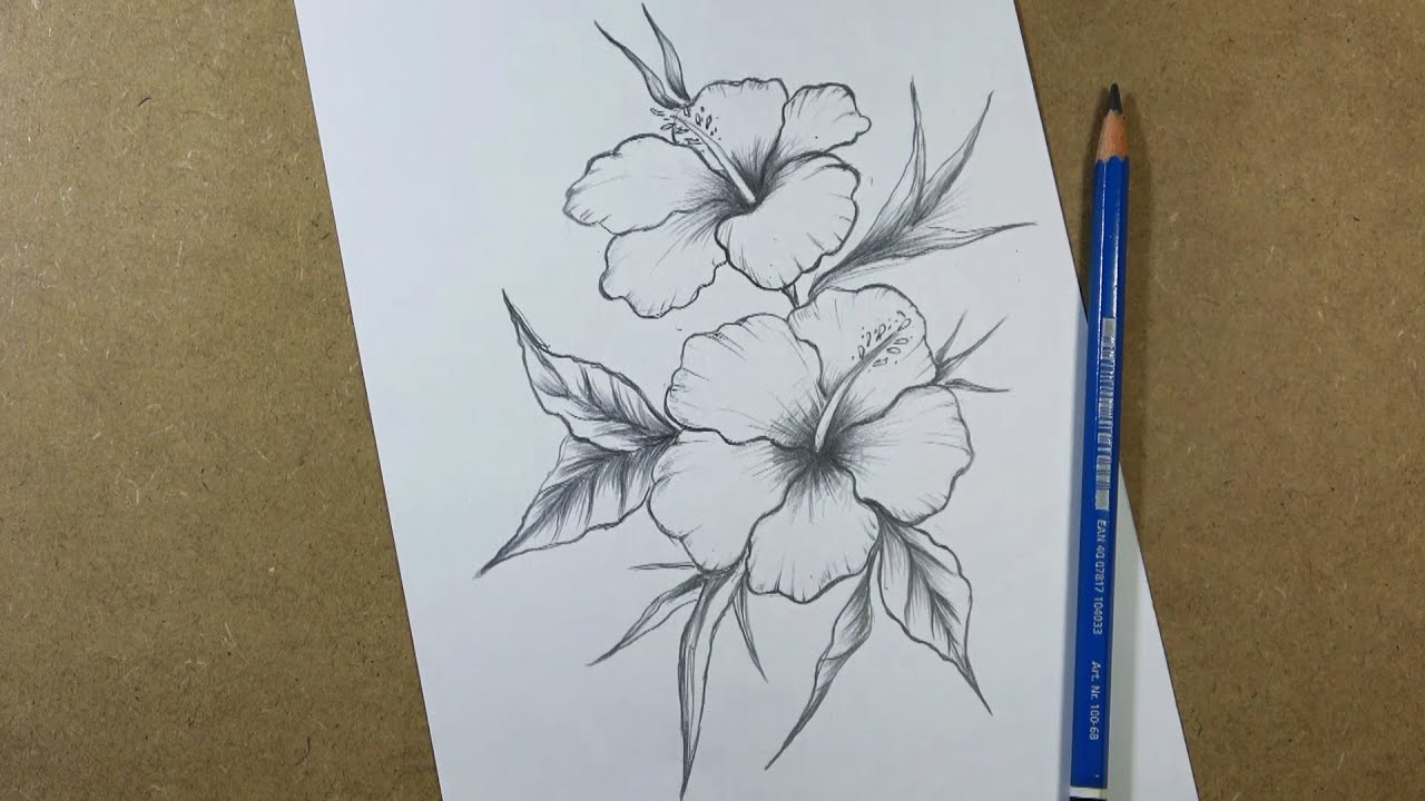 How To Draw Hibiscus Flower Step By