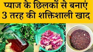 प्याज के छिलकों से बनाएं 3 तरह की शक्तिशाली खाद | Onion Peel Fertilizer And Uses In Garden In Hindi