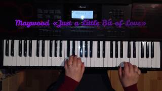 Maywood just A Little Bit Of Love a Cover On A Synthesizer