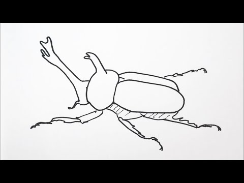 簡単 カブトムシの描き方 イラスト お絵描き Easy How To Draw A Beetle Illustration Drawing Youtube