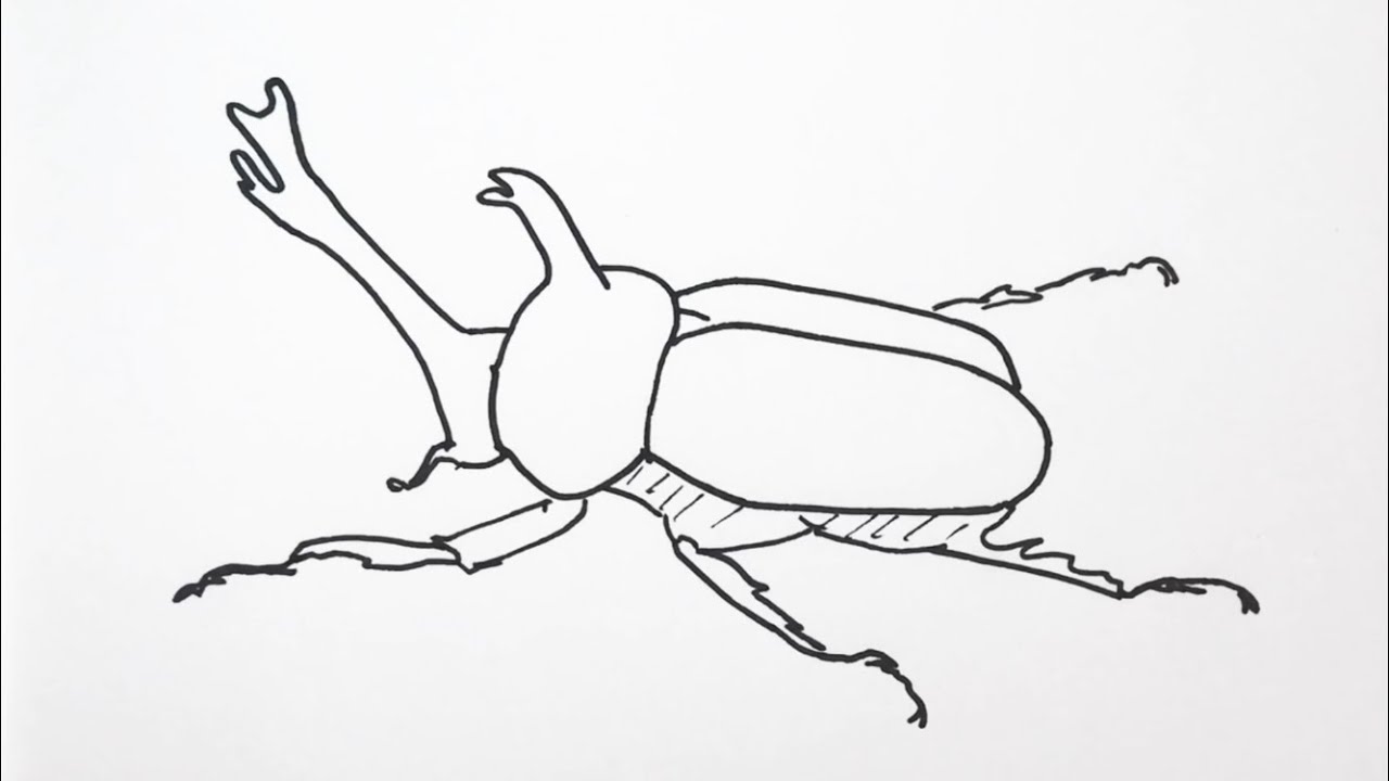 簡単 カブトムシの描き方 イラスト お絵描き Easy How To Draw A Beetle Illustration Drawing Youtube