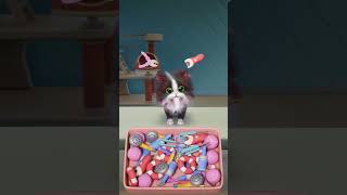 「KittenMatch3D」パズにゃん3D A wounded little #cat  was abandoned...but finally she has found a new home!