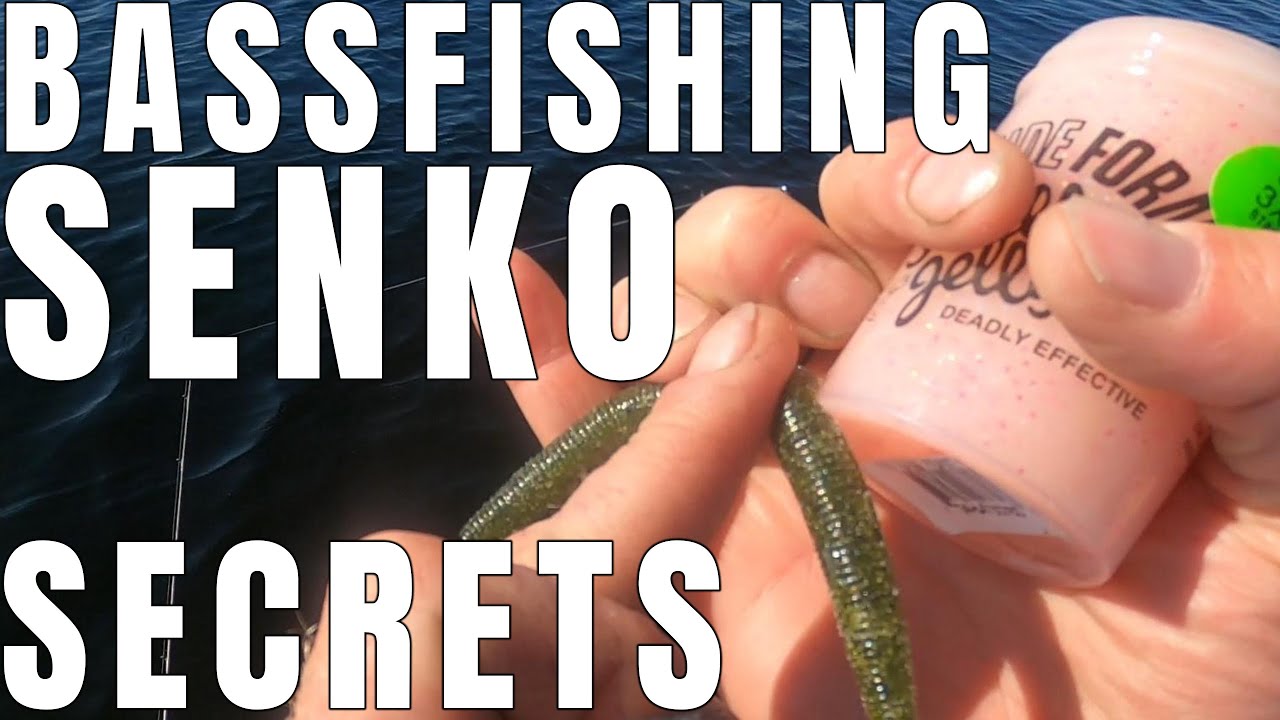 SENKO SECRETS for big BASS