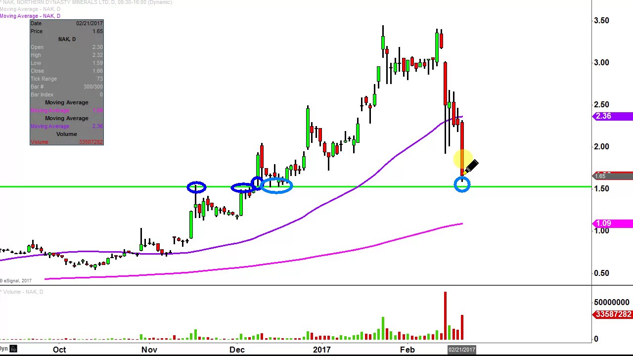 northern dynasty minerals ltd nak stock chart technical northern dynasty stock chart
