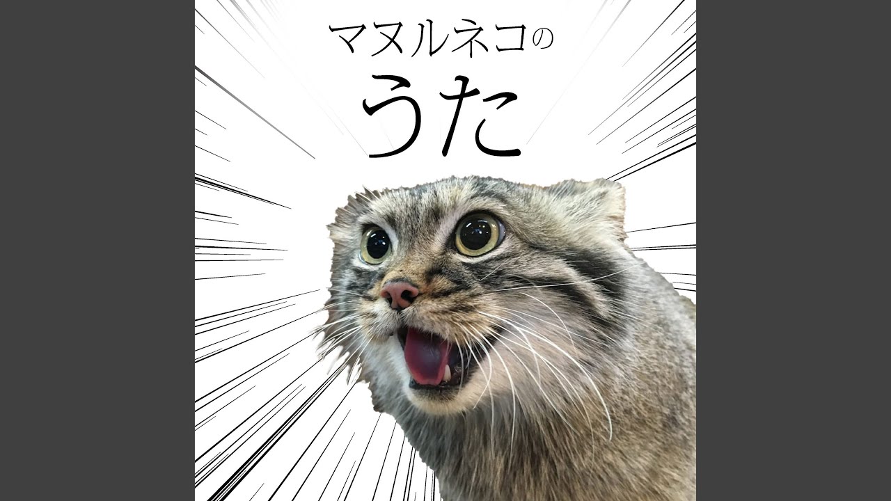 Pallas's cat song (feat. Tomomi Oda) - YouTube