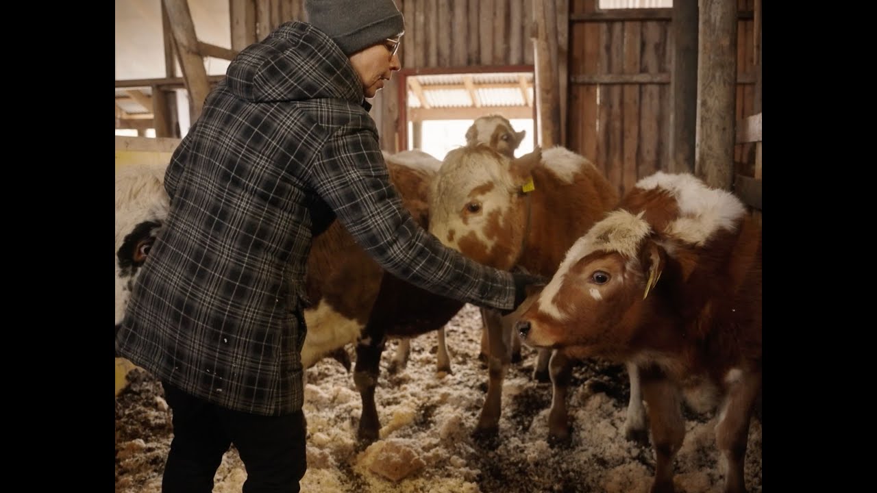 IkiOma Löytöretki