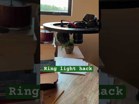 Thumbnail for Lydia Patel