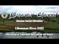 Libmanan River 2022 - Philippines,Camarines Sur,Libmanan,River,Palm tree,drone,熊本,ドローン,ヤシの木,川､絶景