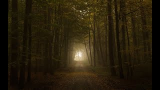 Download Lagu Daydreams | Emotional String Music MP3