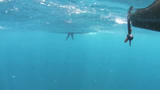 Hobie eVolve rudder mounted