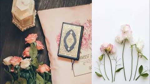 سورة يونس - السديس و الشريم ـ تراويح الحرم المكي لعام 1423 