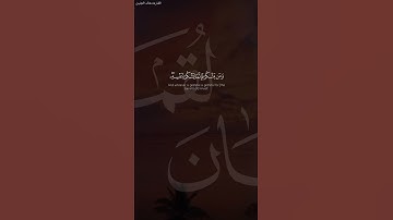 ولقد آتينا #لقمان الحكمة أن اشكر لله #تلاوة #خالد_الجليل #حالات #دينية إن #الشرك  لظلم عظيم