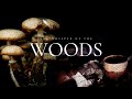 Whispers of the Woods Quiz