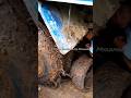 လစ်ပီ 😪 #automobile #offroad #driverjobs #truckdriverlifemyanmar #shorts