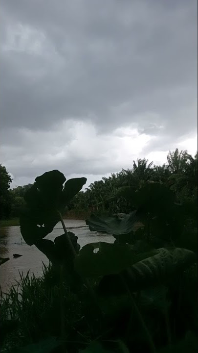 gagal mancing karena turun hujan ..angin....gaeess😞😞😞 #mancing #fishing #shorts #lampung