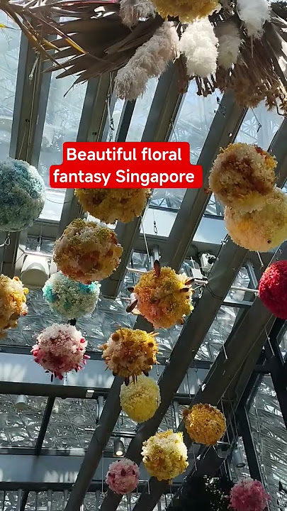 beautiful floral fantasy Singapore 🇸🇬#pinaysgchannels #floralfantasy#vlogervideo #vlogger #vlogs