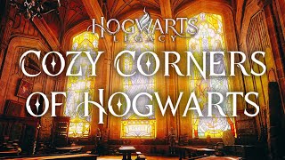Cozy Study At Hogwarts w/Morning Rain | Harry Potter & Hogwarts Ambience | No Midroll Ads, No Music