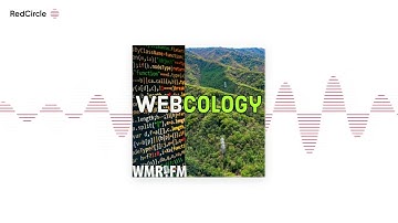 Webcology - The SGE Experience Episode with Gavin Klondike