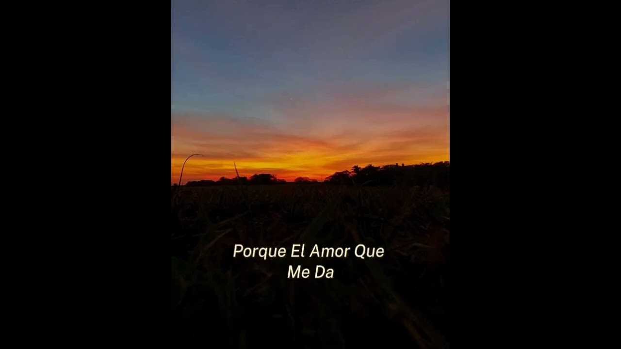 Ya no le camino más  