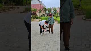 I Went To The Park With My Mother And Picked Up A Panda I Opened It And Saw 10000 In Cash I I