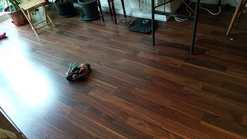 Raspberry Pi Controlled Robot - Test 1