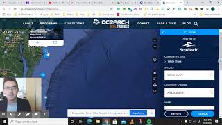 Shark Data Explained