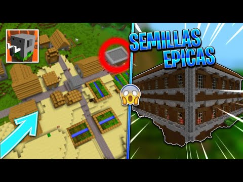 ¡LAS MEJORES SEMILLAS