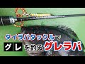 タイラバタックルで挑む！”グレ”ラバ