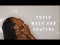 QUICK AND EASY CURLY HAIR WASH DAY ROUTINE // KHALIA IMAN