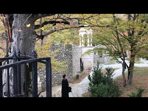 დედიკო მარიამი❤️