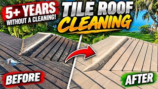 5 Years of Roof Algae MELTED AWAY! | Soft Washing Tile Roofs screenshot 5