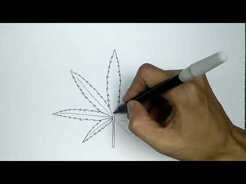 How to Draw MARIJUANA LEAF step by step