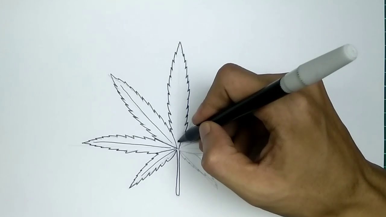 How to Draw MARIJUANA LEAF step by step - YouTube