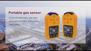 Gas detector & Gas sensor various types of portable stationary and gas sensor modules