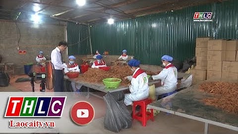 Giá trị sản xuất tiểu thủ công nghiệp đạt trên 3.000 tỷ đồng | THLC