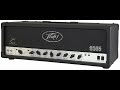 Peavey 6505+ vs. JSX (FAT switch ON vs. OFF) vs. 6505 vs. Engl Savage 120 mk.I (isolated guitars)