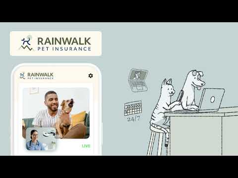 Rainwalk Pet Insurance