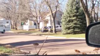 Yankton sd police shooting crime sight