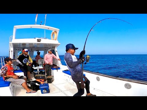 Betoverde Keltische muziek | 432Hz Natuur Muziek | Magische bosgeluiden